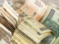 Stosy polskich banknotów, 100, 200 i 500 złotych, pokazują, że cash is back.