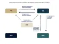 Schemat możliwości wypłata transferowa między PPE, PPK, IKE, IKZE i OIPE.