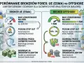 Porównanie brokera UE (ESMA) i brokera offshore. Broker offshore oferuje wyższą dźwignię, ale większe ryzyko.